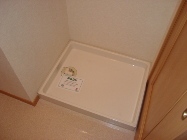 Washroom. Laundry Area