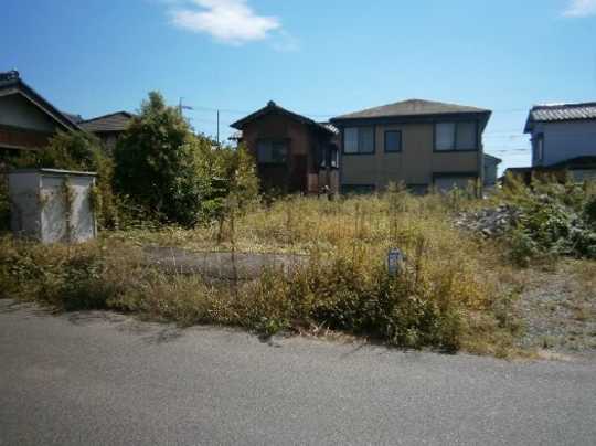 Local land photo