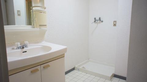 Other room space. Laundry Area