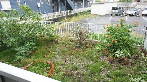 Garden. Private garden