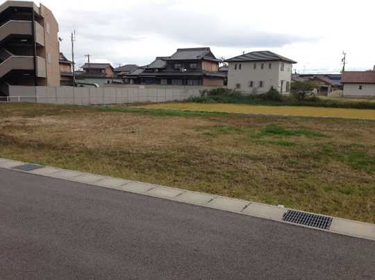 Local land photo. photo1)