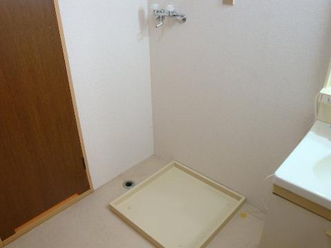 Other room space. Laundry Area