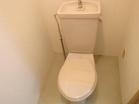 Toilet. WC