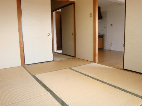 Living and room. Japanese style room