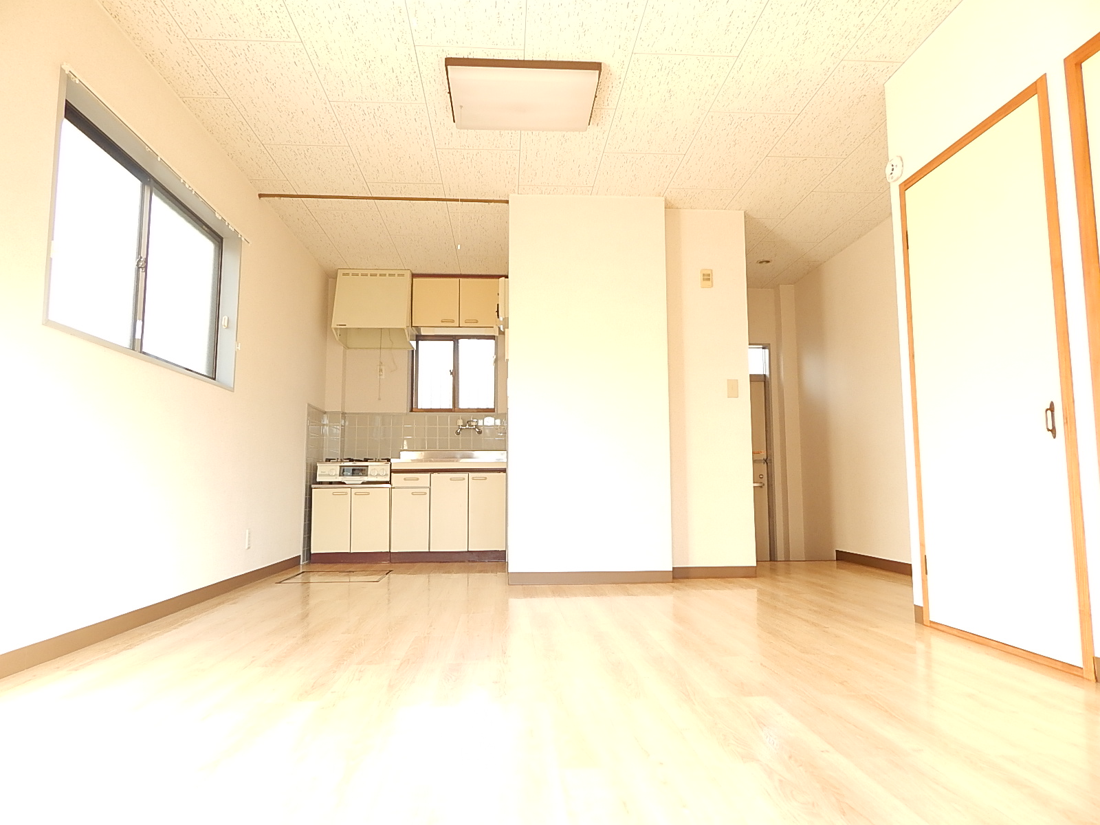 Living and room. Flooring use of lighter