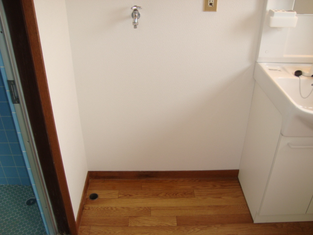 Washroom. Washing machine Storage