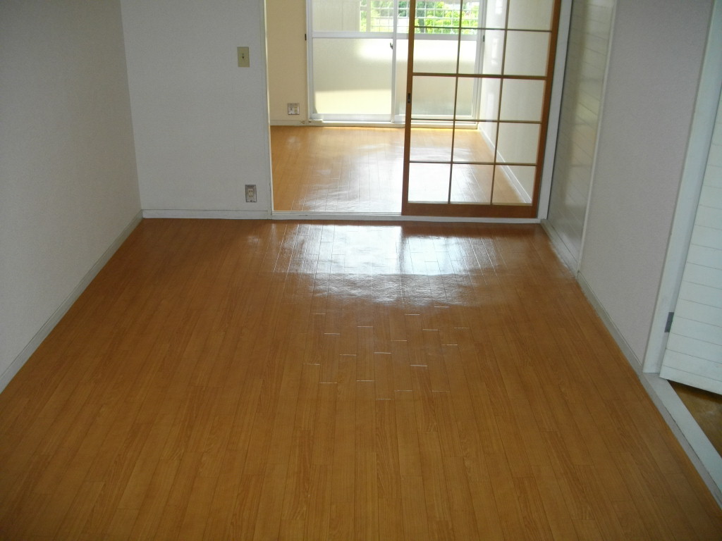 Living and room. Western style room