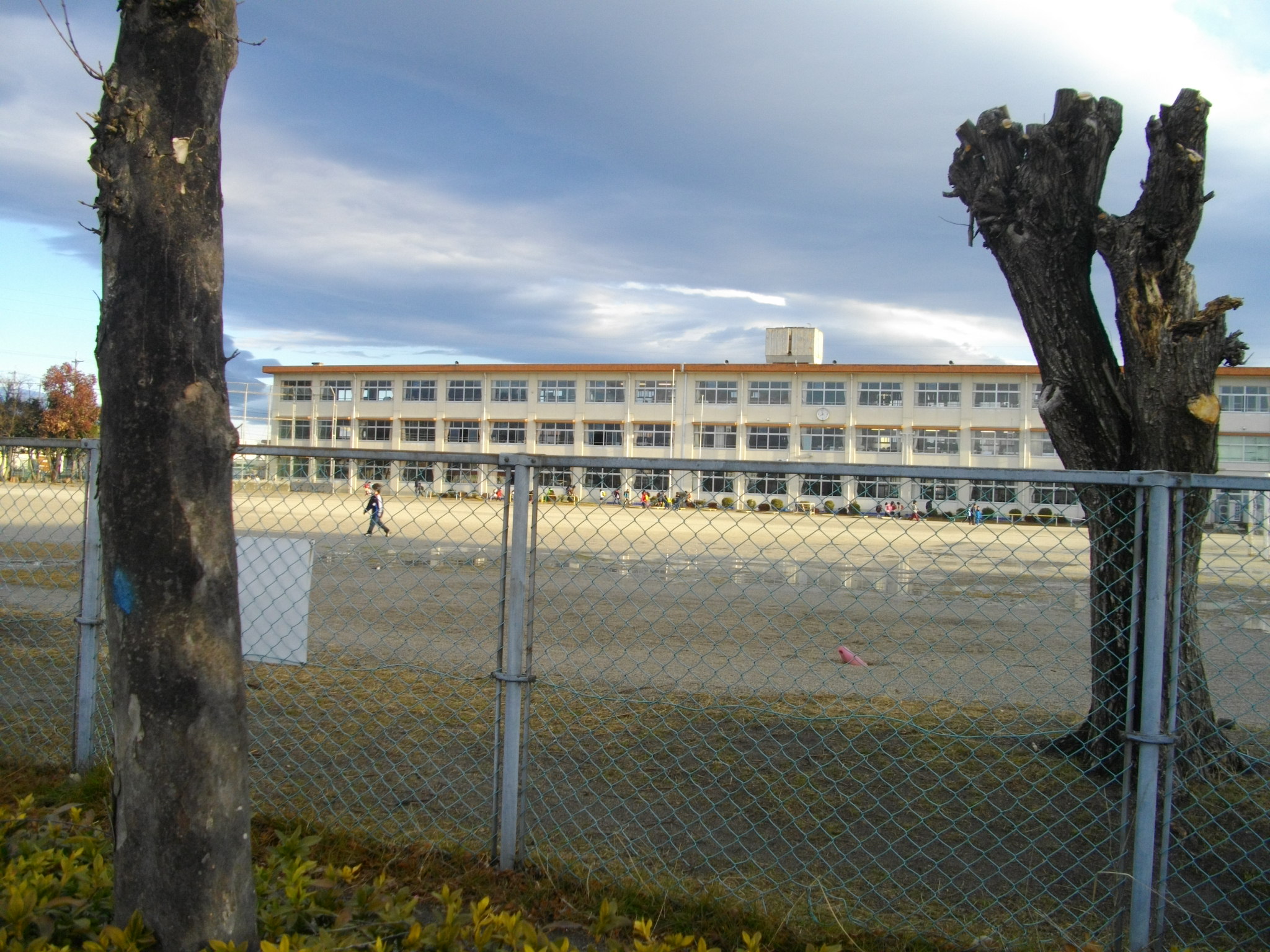 Primary school. 612m until Suzuka Municipal Sakurajima elementary school (elementary school)