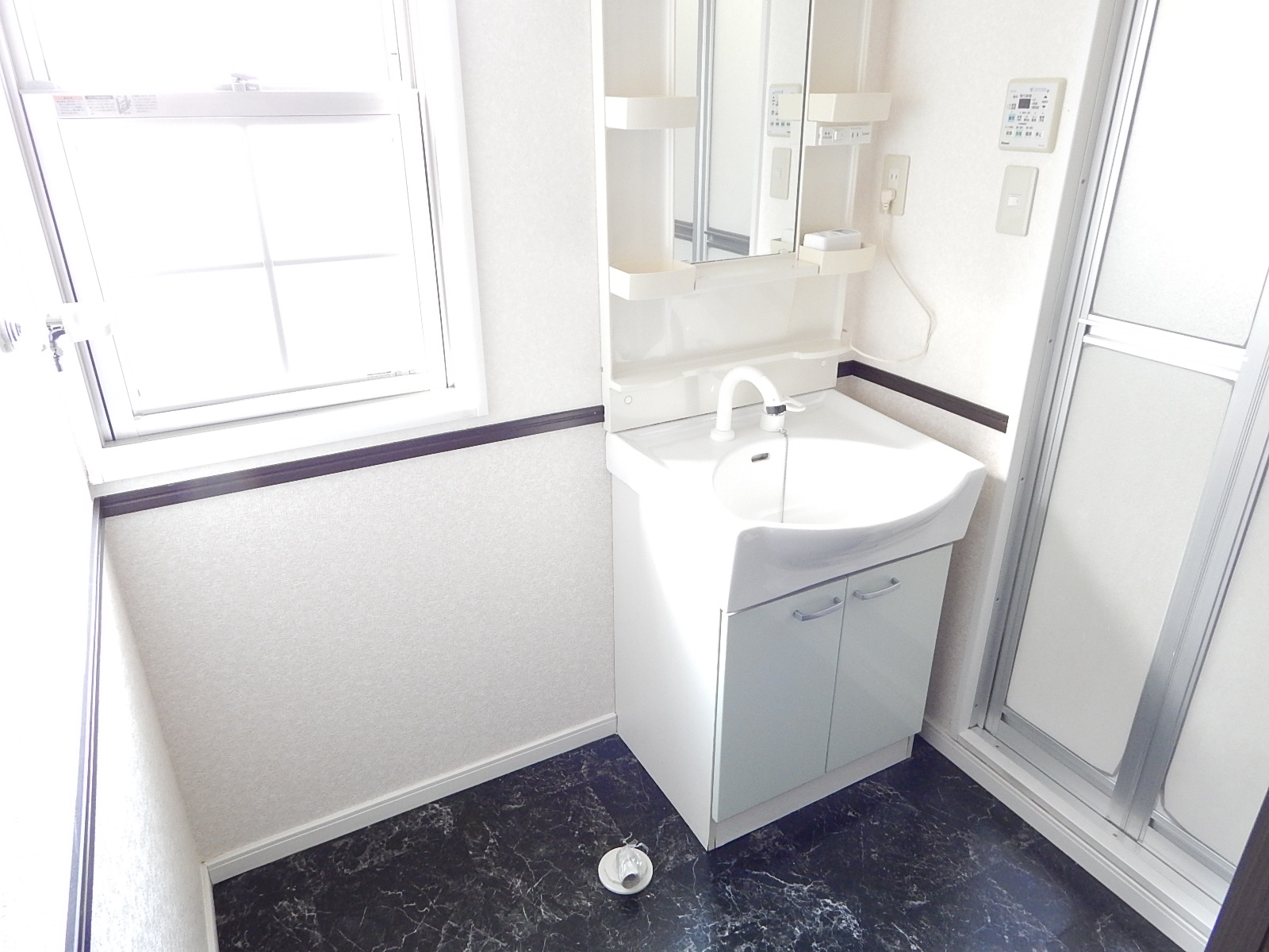 Washroom. Shampoo with Dresser