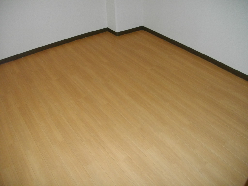 Living and room. Western style room