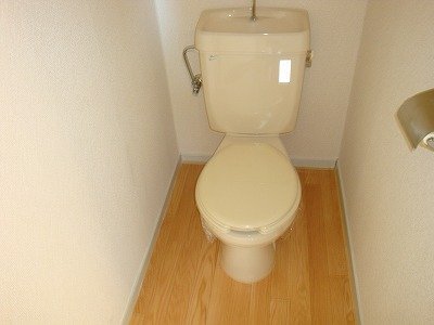 Toilet. WC