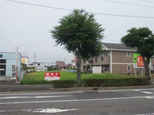 Local land photo
