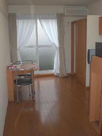 Living and room. 1st floor