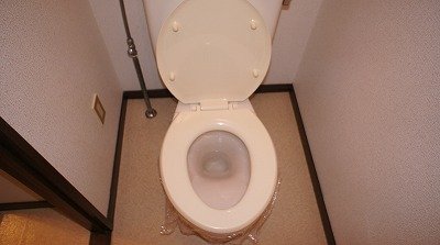 Toilet. WC