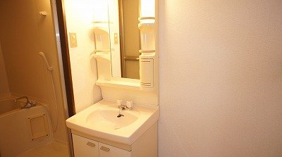 Washroom. Bathroom Vanity