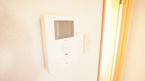 Security. Intercom with a camera