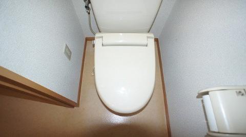 Toilet. WC