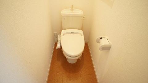 Toilet. WC