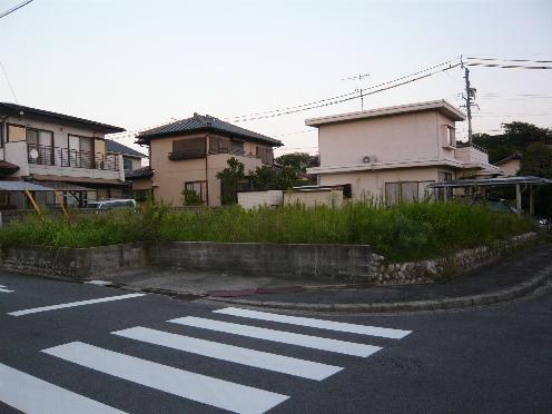 Local land photo