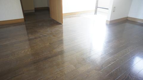 Living and room. Western style room