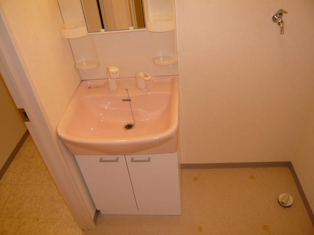 Washroom. Pat in the morning with a shampoo dresser!