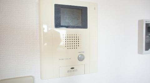 Security. Intercom with a camera