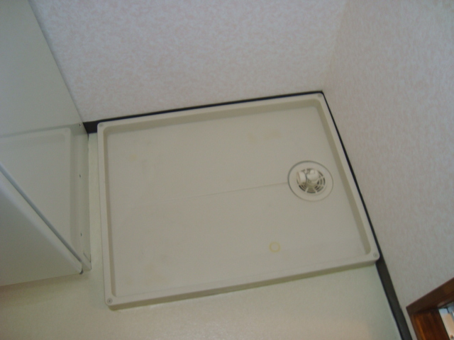 Washroom. Laundry Area