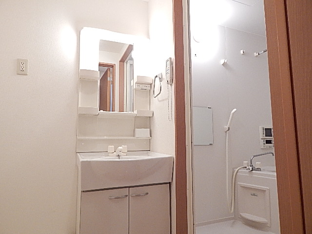 Washroom. The wash basin next to, There is a washing machine storage