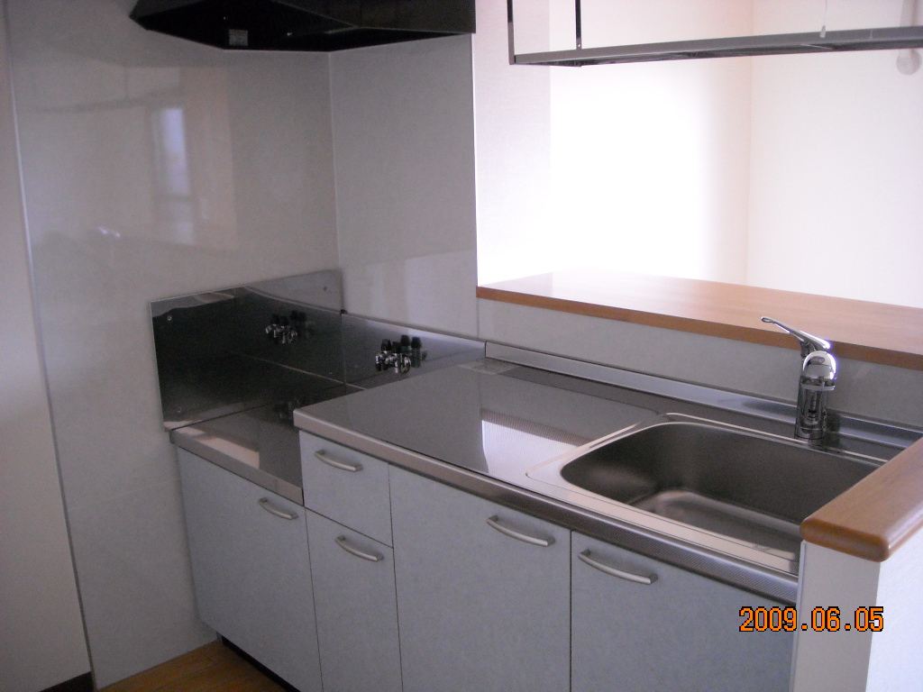 Washroom. Gas stove installation Allowed