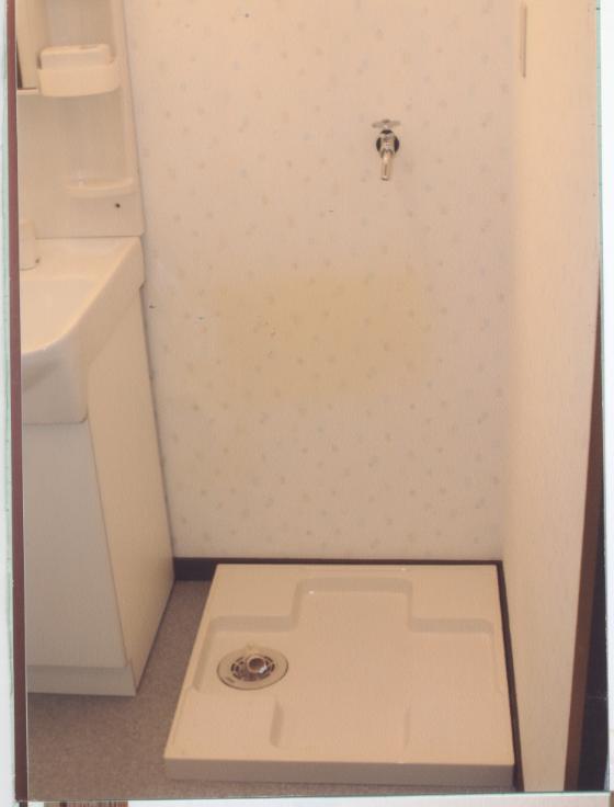 Washroom. Washing machine Storage