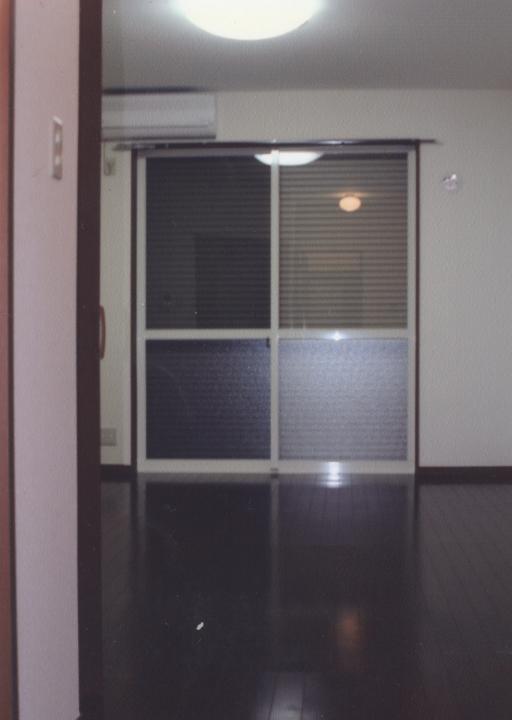 Living and room. Western-style room flooring