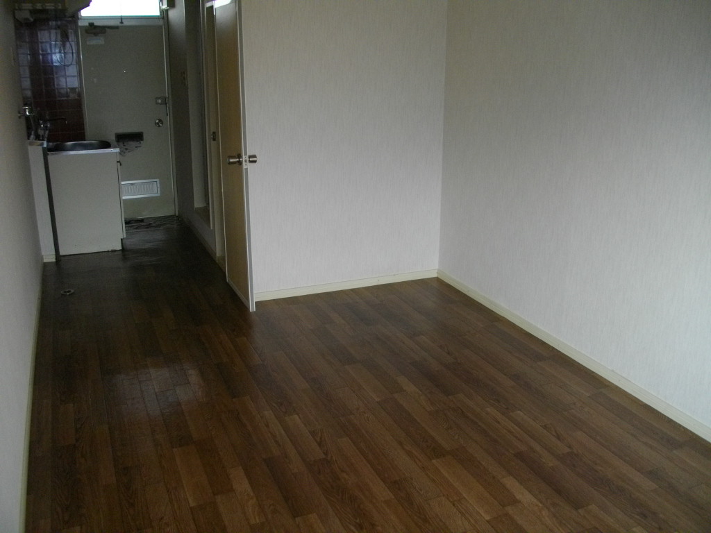 Other. Western-style 2