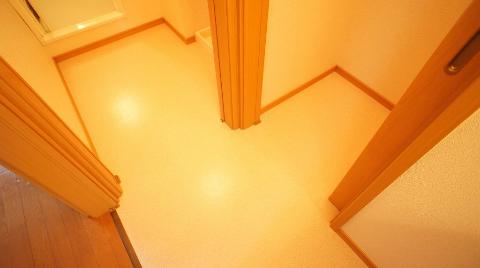 Other room space. Dressing room