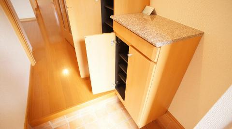 Other room space. Footwear box