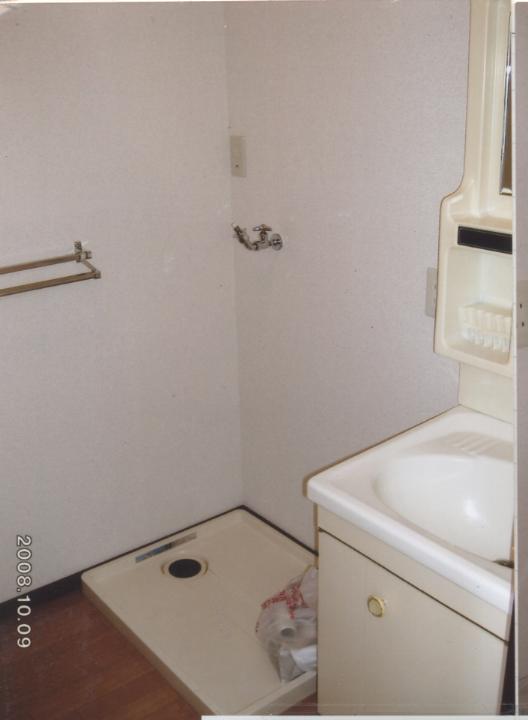 Washroom. Wash basin and washing machine Storage