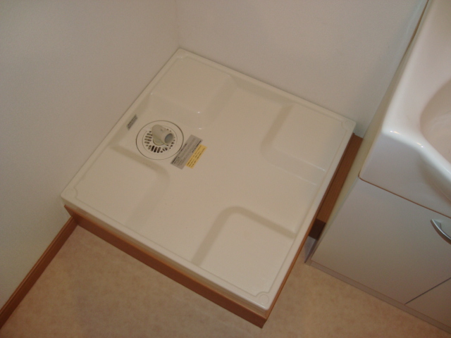 Washroom. Laundry Area