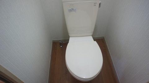 Toilet. Toilet