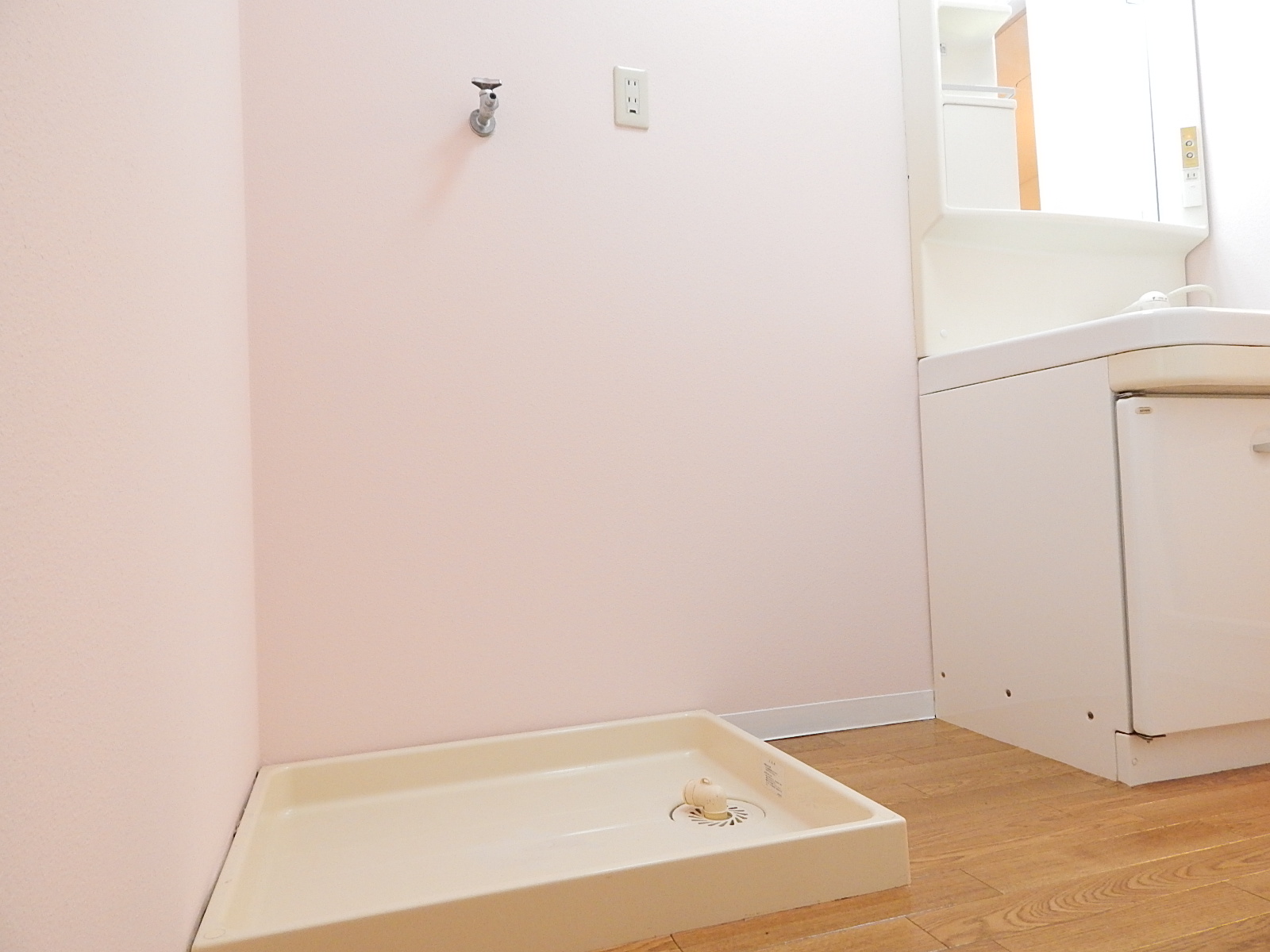 Washroom. Next to the vanity, There is a washing machine storage