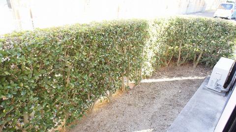 Garden. Private garden