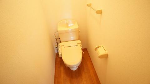 Toilet. Toilet with shower