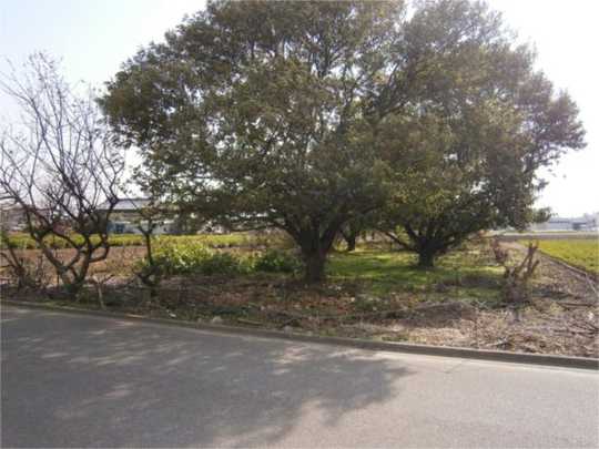 Local land photo
