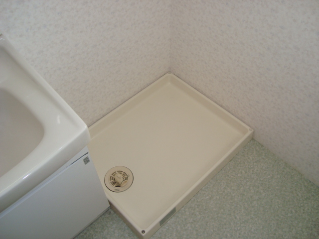 Washroom. Laundry Area