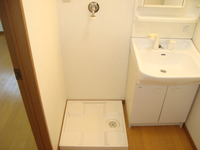 Washroom. Washing machine Storage