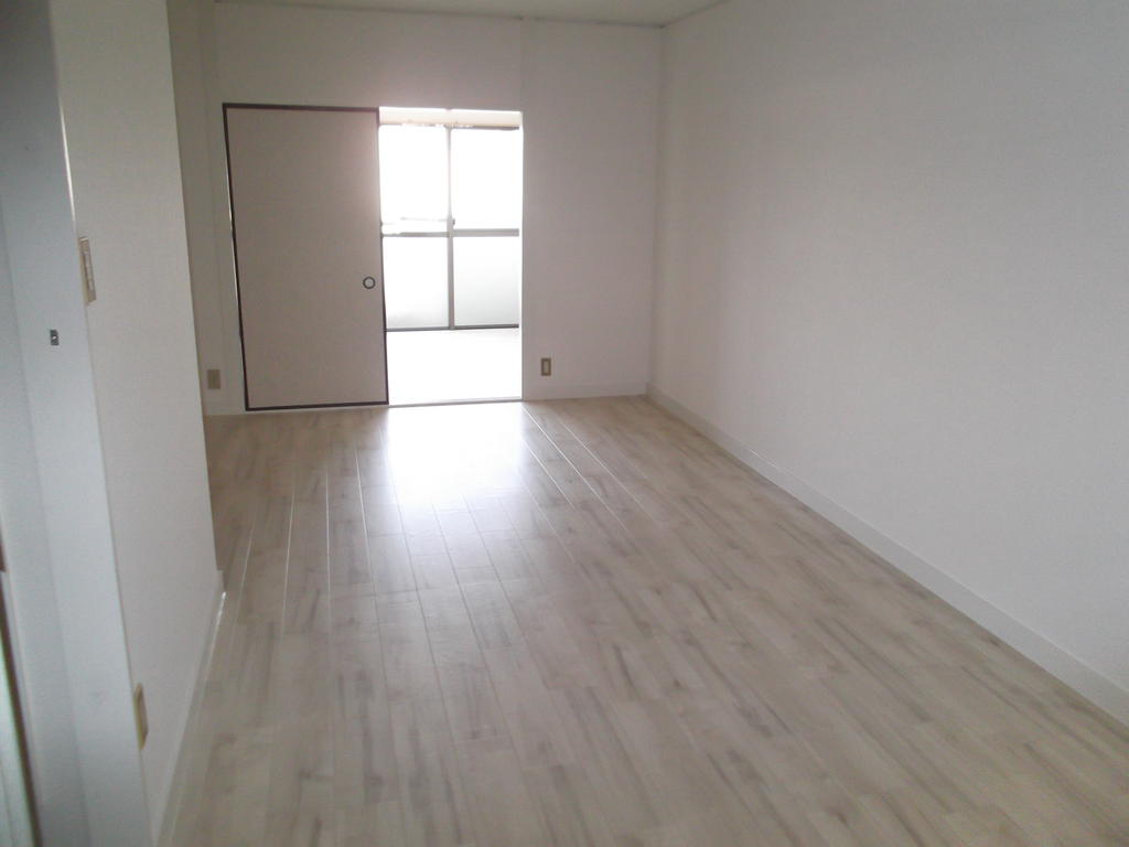 Living and room. LDK