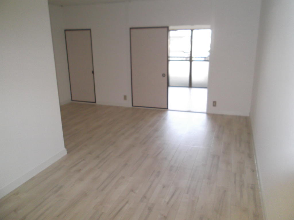 Living and room. LDK