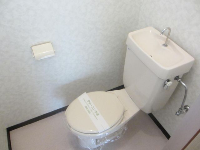 Toilet