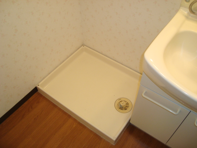 Washroom. Washing machine Storage