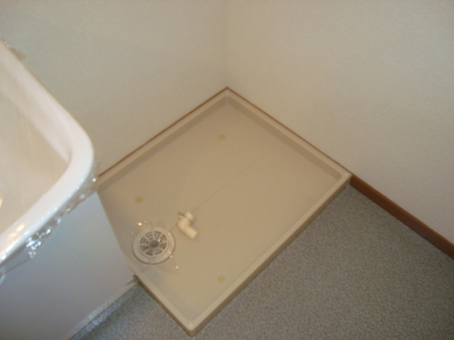 Washroom. Laundry Area