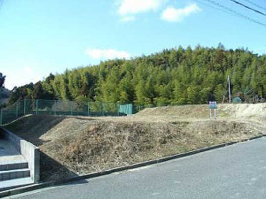 Local land photo