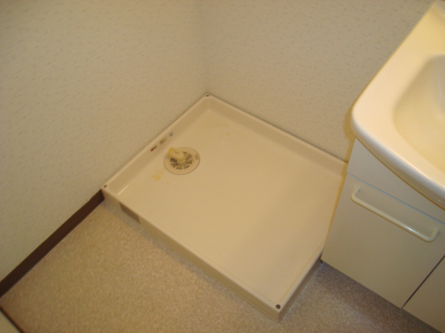 Washroom. Washing machine Storage